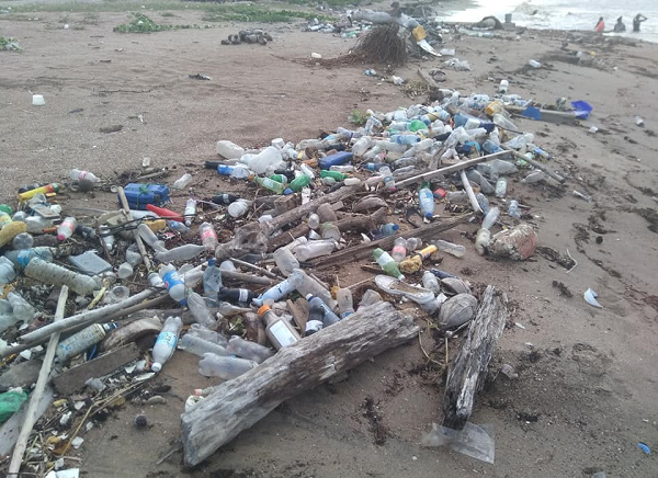Volunteers suspend beach clean-up in protest of mangroves destruction