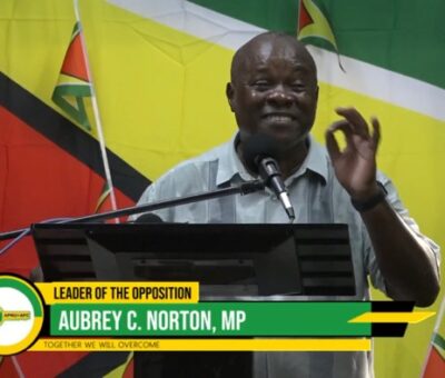 Norton wants Claudette Singh gone and a new voters list before next elections